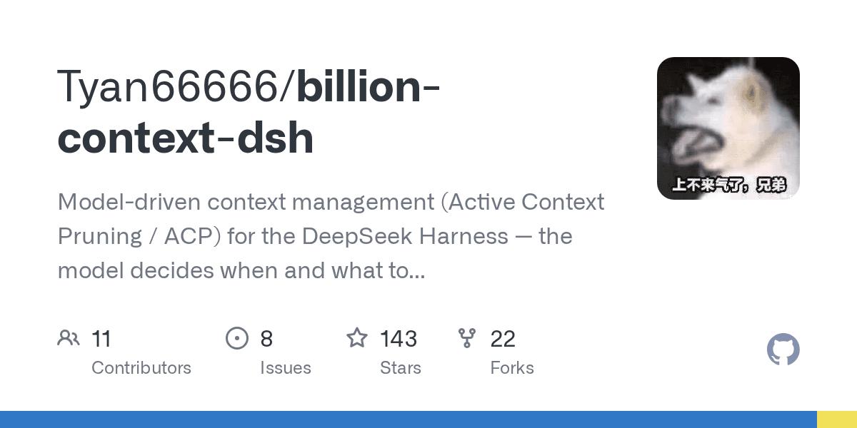 Tyan66666/billion-context-dsh