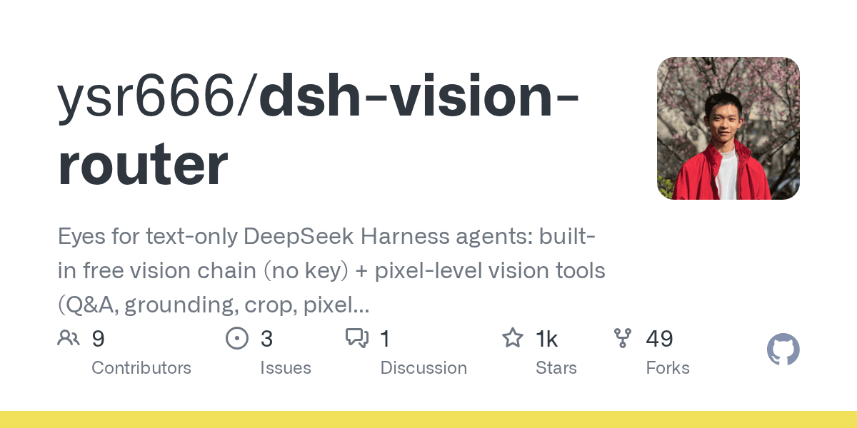 ysr666/dsh-vision-router